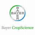 bayer crop s